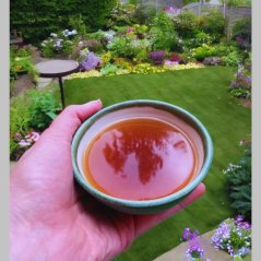 cascara madam cacao povzbuzujici caj