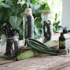 prirodni extrakt vanilka prava lusk prirodni extrakt vanilka prava lusk