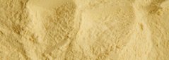 Lucuma Sol Semilla