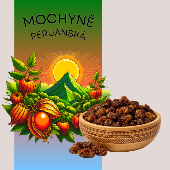 Physalis - Mochyně peruánská