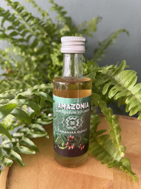 Amazonia samanska esence martin pavek