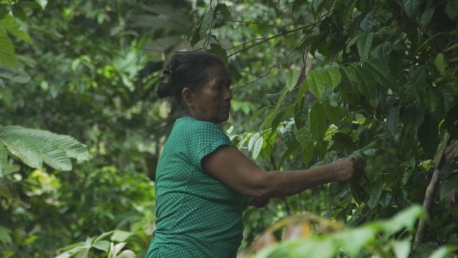 Sequence 02.Still005