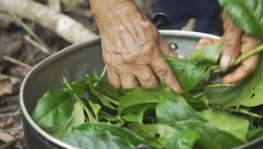 Sequence 02.Still012