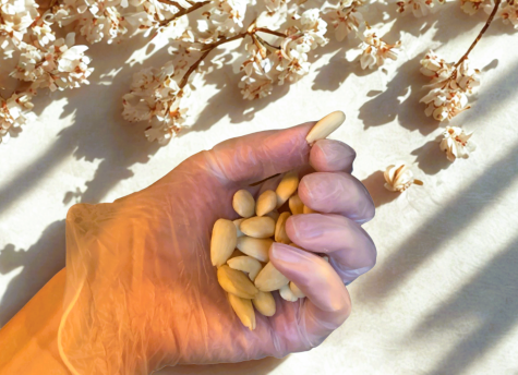 mandle spanelske loupane