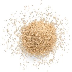 quinoa bila obilovina quinoa superpotravina