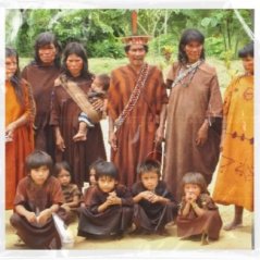 Fenix Machiguenga Fenix Machiguenga