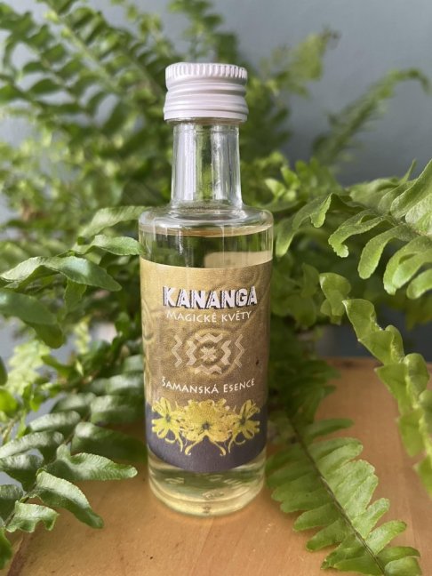 kananga samanska esence martin pavek