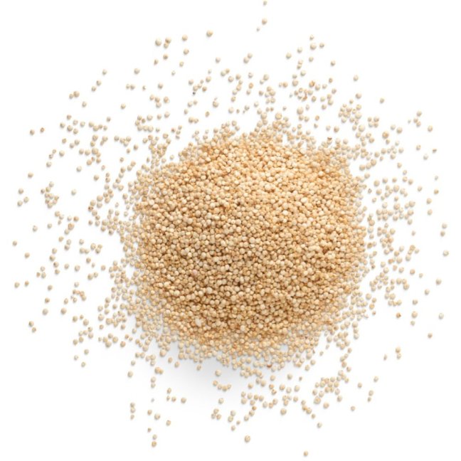 quinoa bila obilovina quinoa superpotravina