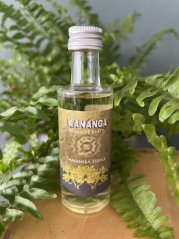 kananga samanska esence martin pavek