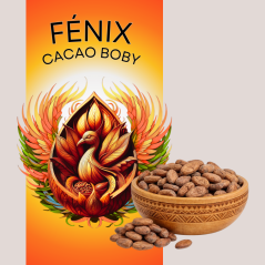 Kakaové boby FÉNIX nepražené
