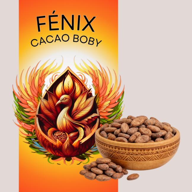 Kakaové boby FÉNIX nepražené